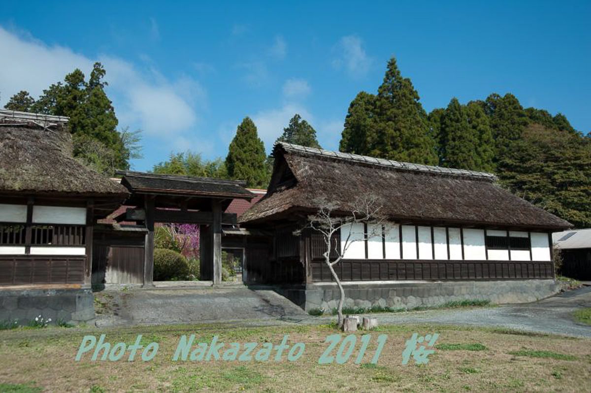 狩宿の下馬桜